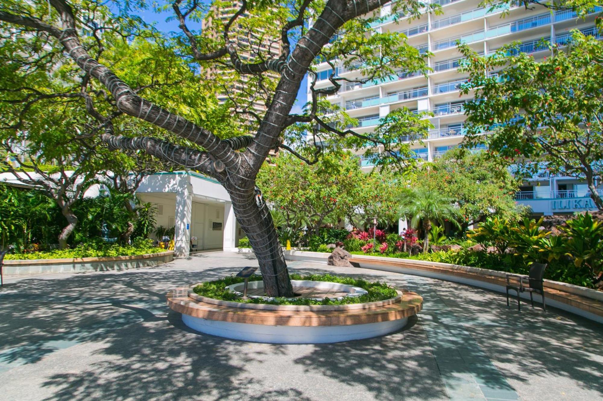 Ilikai Tower 936 Lagoon View 1Br Honolulu Dış mekan fotoğraf